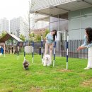 파크필드 이미지