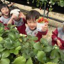 샘물농장 2 이미지