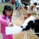 젖소목장 이미지