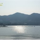 씨존민박