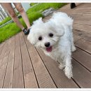 강화바른치과의원 이미지