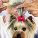 명성건강원 이미지