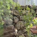 하례학림로 이미지