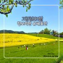 피구지관광농원 | 고창 청보리밭 축제 2026 주차코스 방문꿀팁 총정리