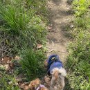 태동농장 이미지