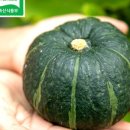 하은농장 이미지