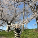 한승욱 | 바쁘게 스쳐간 3월