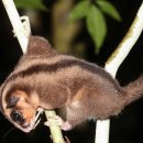 CW-1300-01 이미지