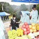 유림-1067 이미지