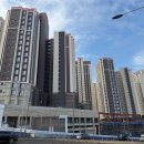 (외산원목) - 721 | (외산원목)