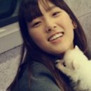 지금 이미지
