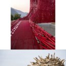 영월 Y파크(술샘박물관) 이미지