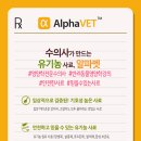씨(C) 이미지