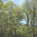 도락산 공중화장실 이미지