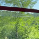 배때기네하우스 이미지