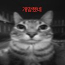 미래조이약국 | 스마일라식개아픈데어떤놈이안아프다고했니