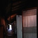 참나무쟁이 이미지