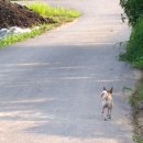 산책가는길 이미지