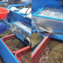 마치블루풀빌라 이미지