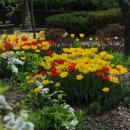 강과바다의 탑 이미지