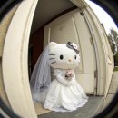 화신로8길1-7 | W-7. 대구 워킹으로 드레스 투어 후기 (리아/보네르/임자경)