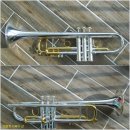 골드크리닝 이미지