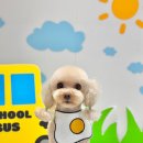 모노퍼피 이미지