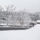 바다향기로 이미지