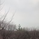 그린 독산 이미지