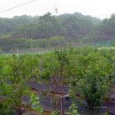 주산농장 이미지