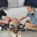 대동동물병원 이미지