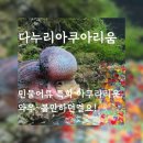 우림지질(주) - 달성군 | 단양 다누리아쿠아리움+고수동굴:콤보티켓구입. 다누리아쿠아리움:민물고기 특화 수족관. 고수동굴:단양...