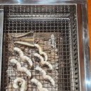 용두로121번길 네이버블로그
