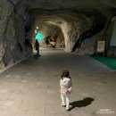 인오횟집 | 충주 여행 가볼만한곳 - 활옥동굴 , 인오횟집 쏘가리매운탕 , 남벌수상레저 수상보트