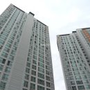 신안단지내공인중개사사무소 이미지