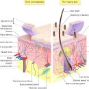 청담리투의원 이미지
