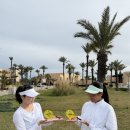 진안군청 이미지