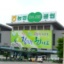 가정웰빙요리 이미지