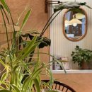 이니스테이 이미지