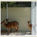 운악산의뜰 이미지