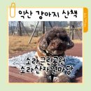 교현근린공원화장실 | 익산 애견동반 산책코스 익산소라근린공원ㅡ도심 속 숲길과 아이·강아지 모두 만족한 산책코스
