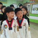 금강 태권도장 이미지