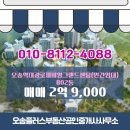 발빠른부동산공인중개사사무소 | 충청북도 청주시 흥덕구 오송읍 오송플러스부동산공인중개사사무소 실매물 아파트 매매