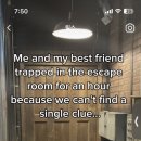 나무타는고양이 구경하는강아지 이미지