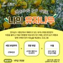 2024년 고흥 '나의 유자나무' 분양 이벤트 참여자 모집 이미지