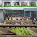 슬로시티수산협동조합 이미지