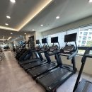 휘트니스요가 | 일산역 헬스장 리와인드 휘트니스 일산점 솔직 후기! 시설, 기구, 주차 정보 총정리 💪