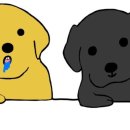 폴스타르트 이미지