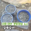 오투오션1 | 서해 태안 해루질 갯벌체험 가능한 숙소 추천 오투오션 펜션 내돈내산 방문후기