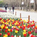 평촌중앙공원 이미지